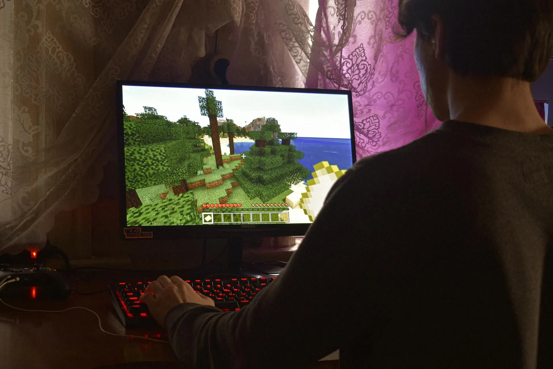 Hình ảnh người dùng đang chơi game trên máy tính xách tay