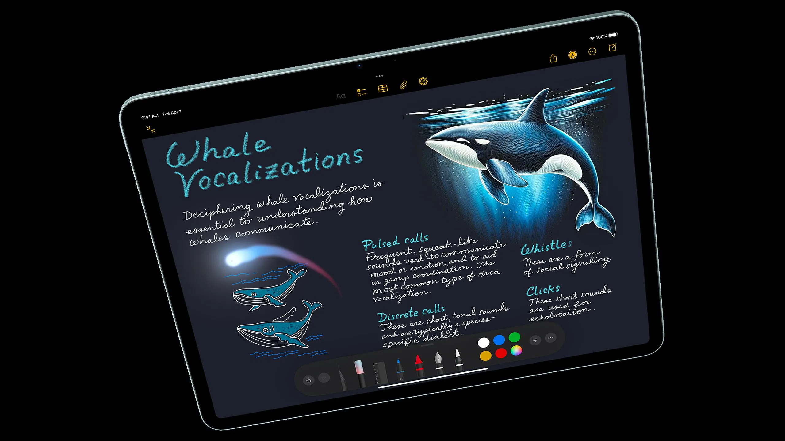 Sử dụng ứng dụng Ghi chú trên iPad Air 2025 để vẽ phác thảo, minh họa khả năng chạy app iPad trên màn hình ngoài