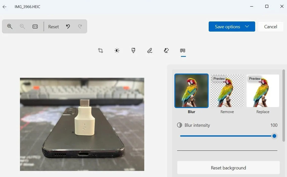 Công cụ xóa nền ảnh trong ứng dụng Photos Windows 11 giúp tách chủ thể khỏi nền để làm mờ hoặc thay thế