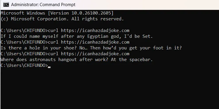 Các câu truyện cười &quot;Dad Joke&quot; được tạo ngẫu nhiên và hiển thị trong Command Prompt trên Windows.