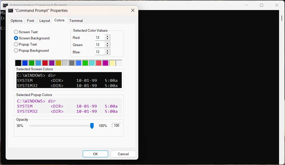 Cửa sổ thuộc tính của Command Prompt trên Windows, hiển thị các tùy chọn tùy chỉnh giao diện.