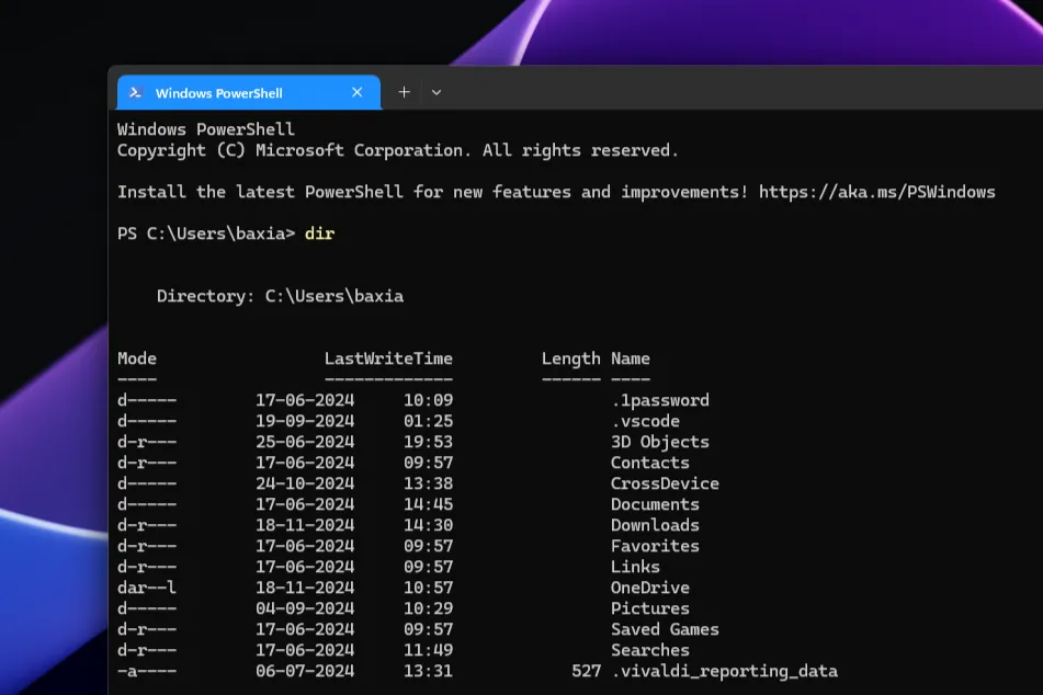 Cửa sổ Windows PowerShell đang mở trên máy tính Windows 11