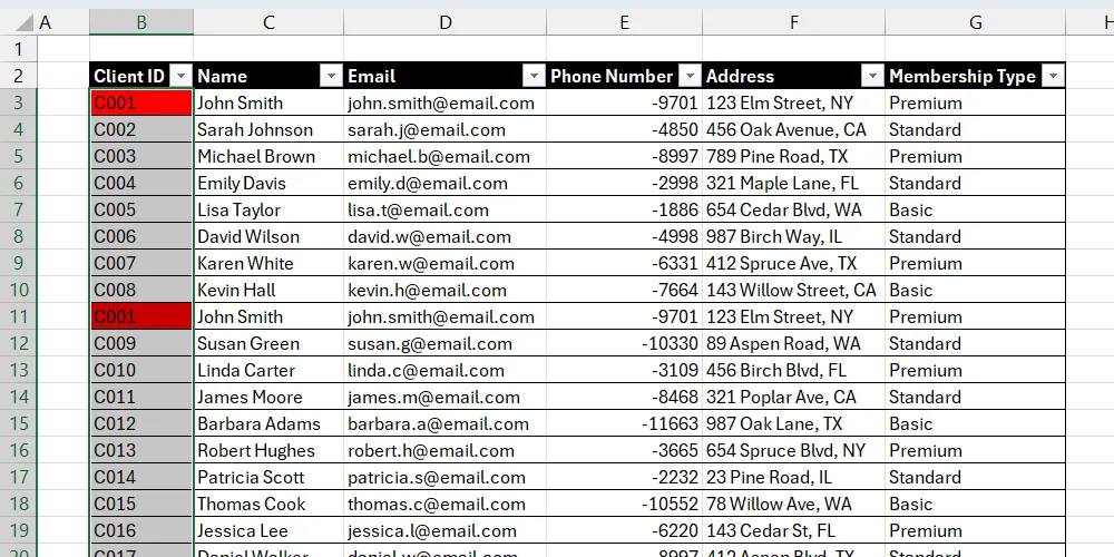 Danh sách khách hàng trong Excel đã tô sáng các tên trùng lặp bằng Định dạng có điều kiện