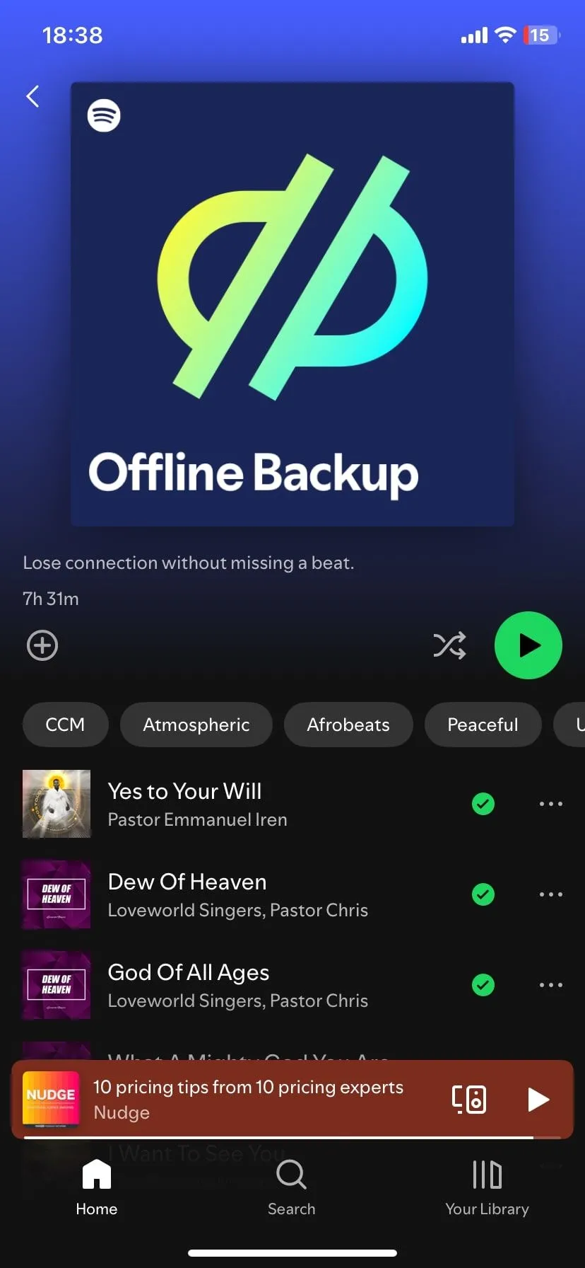 Danh sách nhạc được tải về để nghe ngoại tuyến trên Spotify, giúp giải trí không giới hạn khi đi xa.