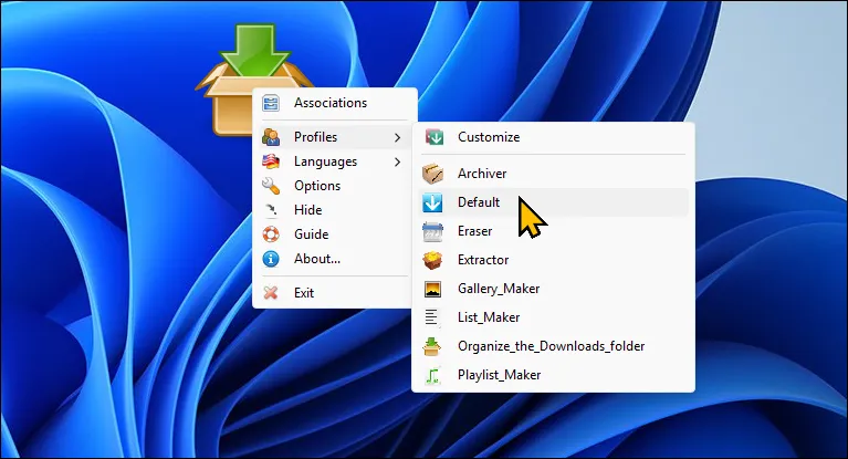 Giao diện cài đặt DropIt trên Windows 11, nơi người dùng tùy chỉnh các quy tắc tự động sắp xếp và quản lý tệp tin dựa trên loại hoặc tên.