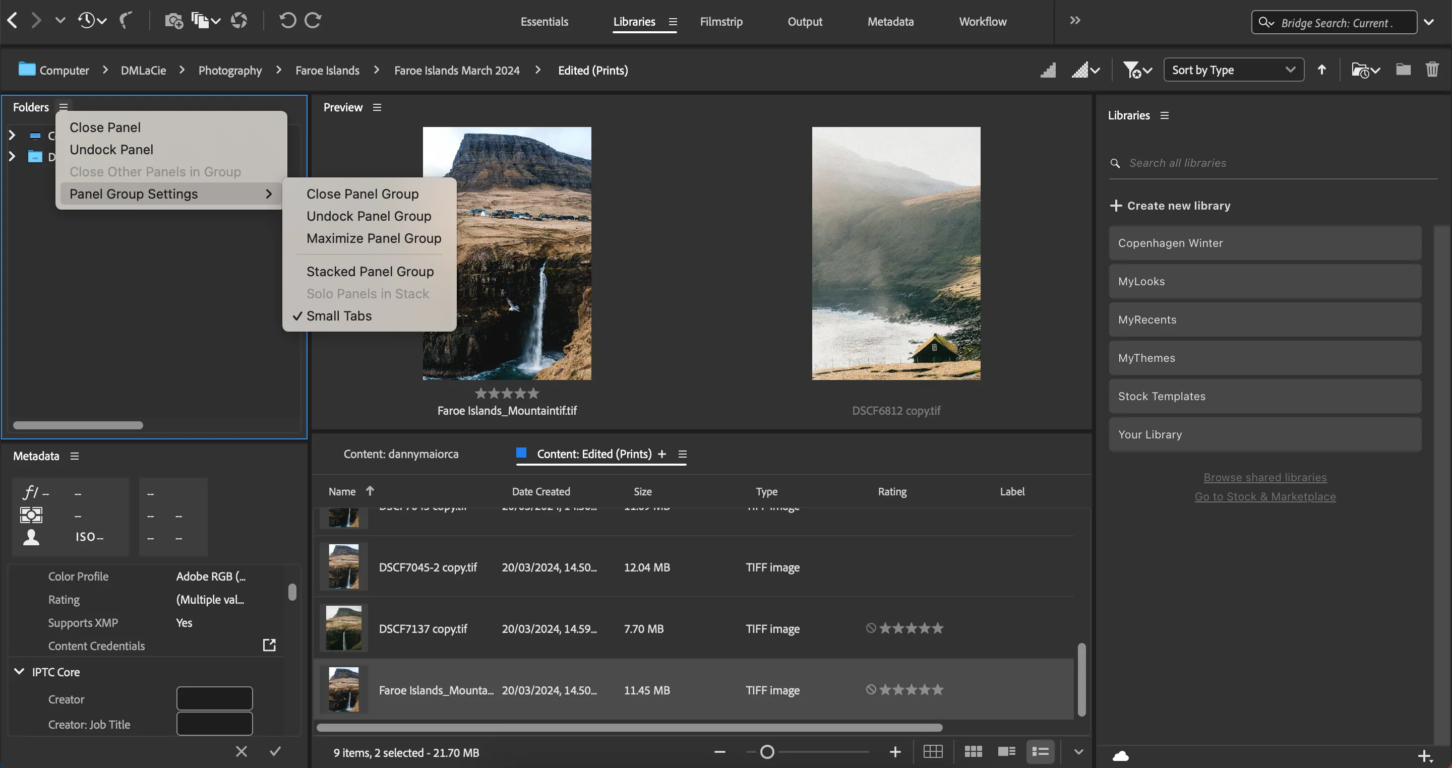 Giao diện cài đặt tùy chỉnh bảng điều khiển trong Adobe Bridge, hiển thị các tùy chọn quản lý ảnh