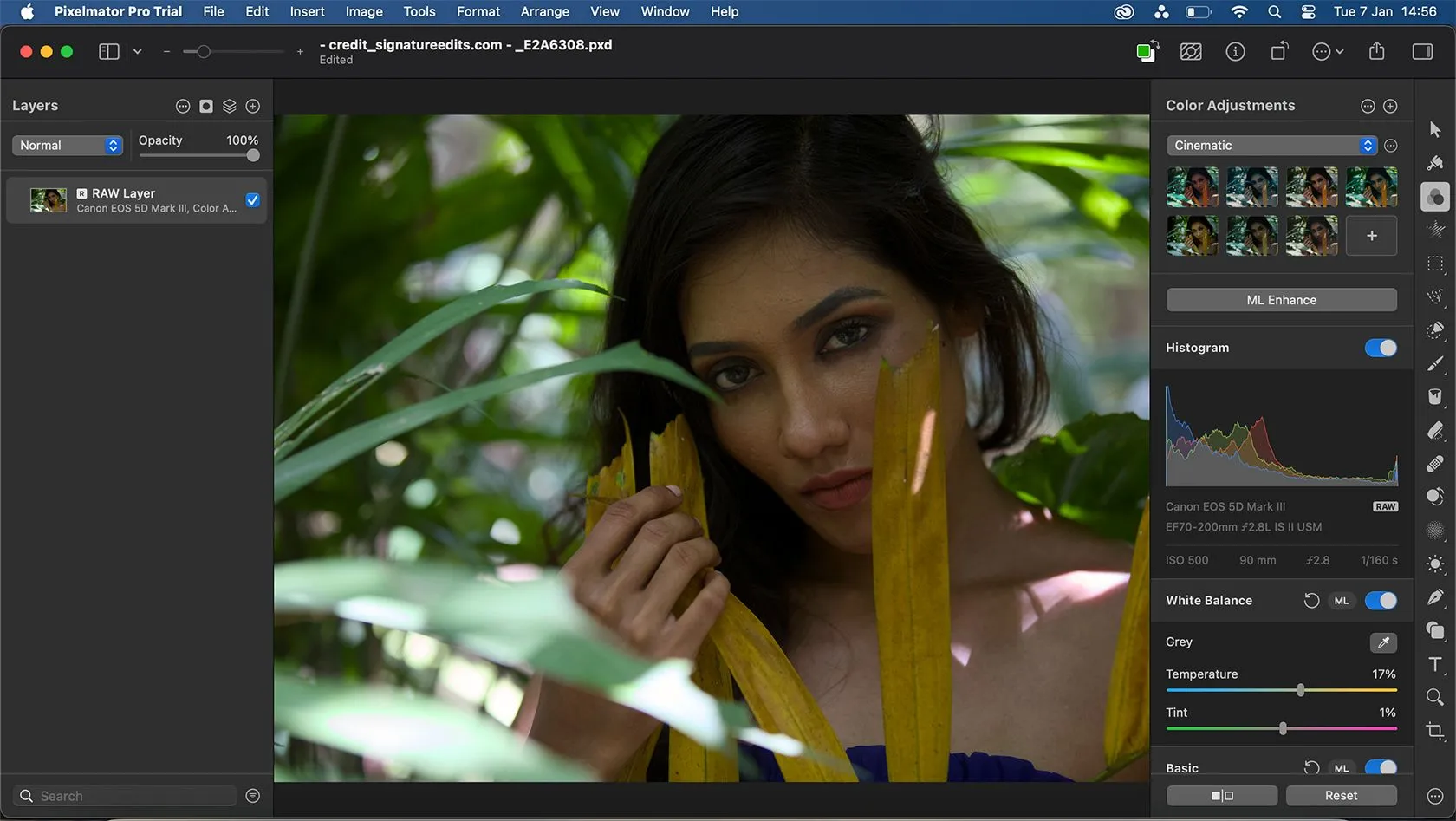 Giao diện chỉnh sửa ảnh RAW tích hợp của Pixelmator Pro, với các tùy chọn điều chỉnh theo lớp