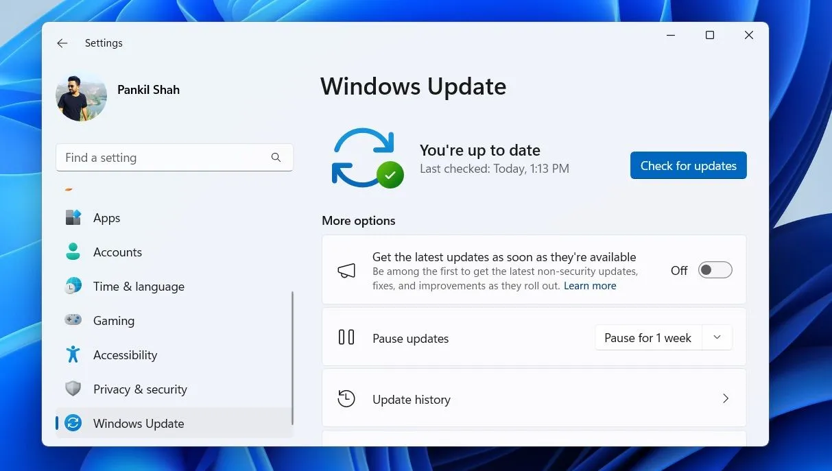Giao diện tab Windows Update trong cài đặt Windows 11