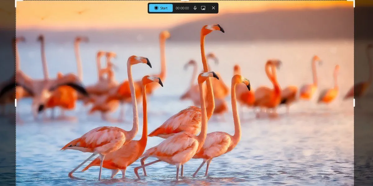 Giao diện tính năng quay màn hình của Snipping Tool trên Windows 11
