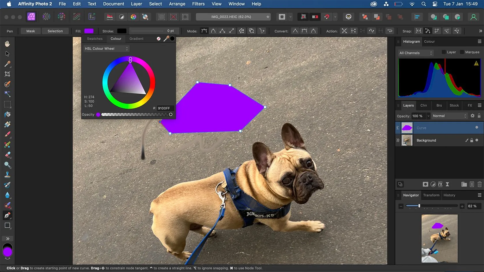 Màn hình Affinity Photo hiển thị công cụ Pen Tool đang được sử dụng để vẽ đường dẫn, minh họa khả năng làm việc với vector cơ bản