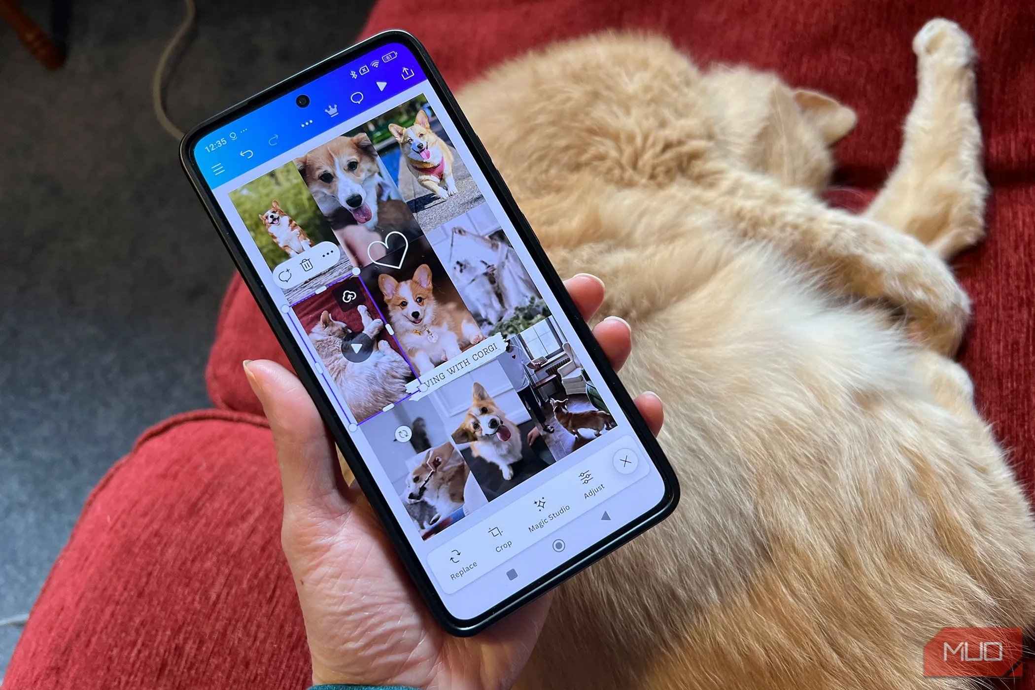 Màn hình chỉnh sửa video trên ứng dụng Canva trên điện thoại Android