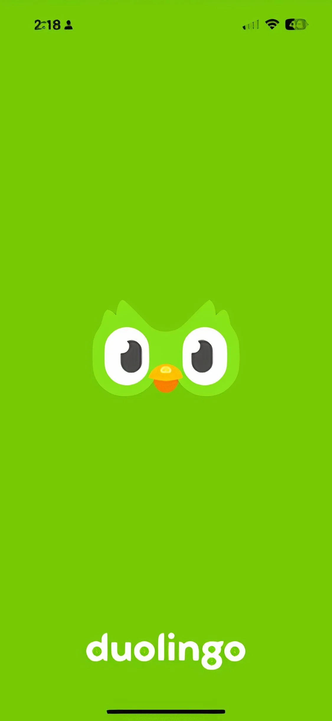 Màn hình khởi động ứng dụng Duolingo với biểu tượng cú xanh quen thuộc