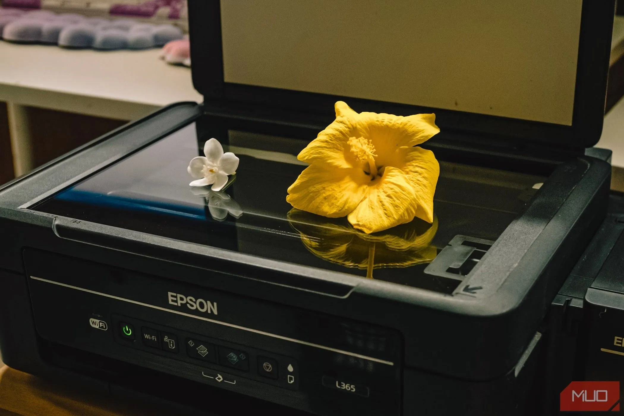 Máy scan phẳng truyền thống, từng là thiết bị không thể thiếu