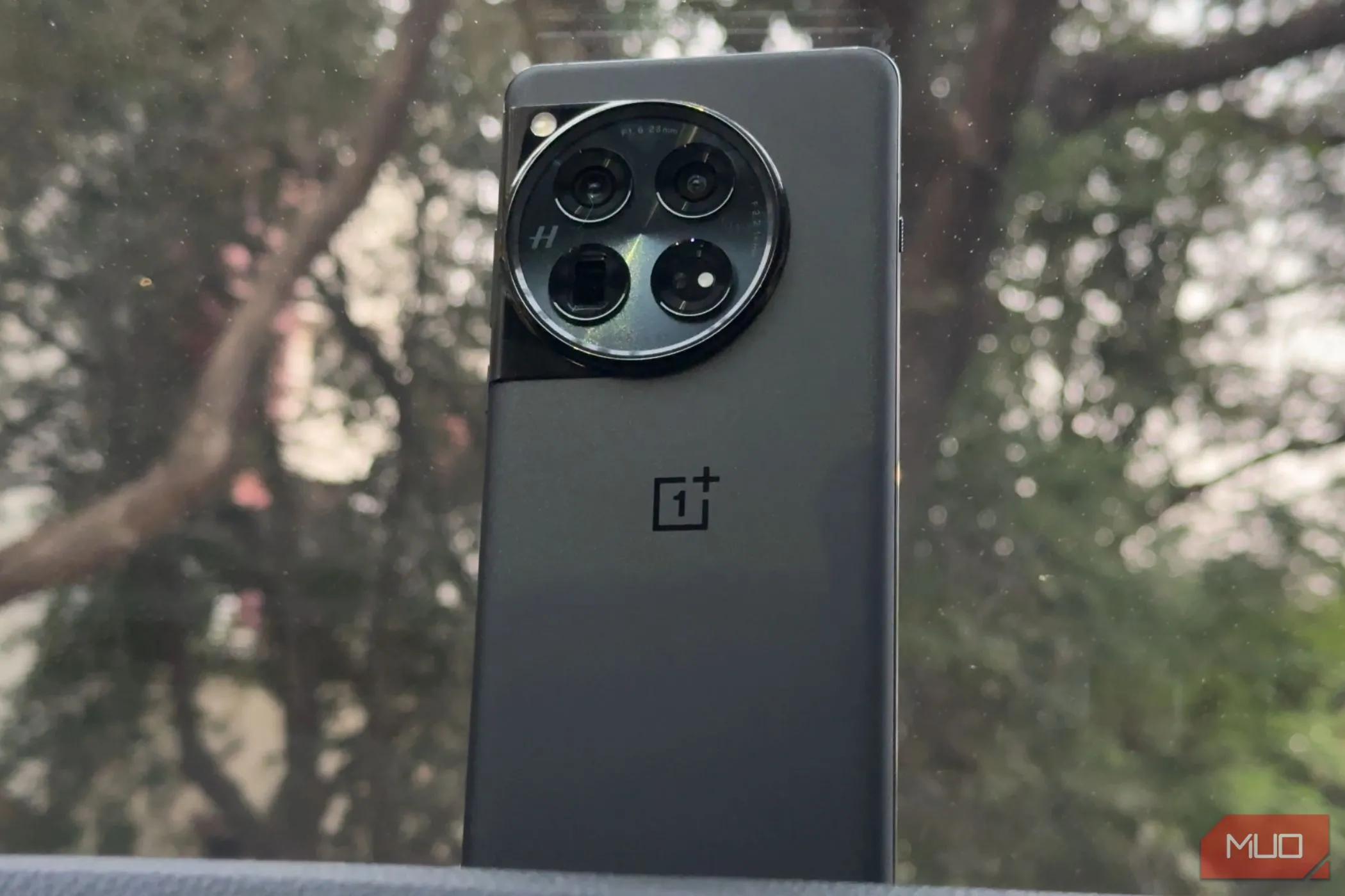 OnePlus 12 màu đen với mặt lưng bóng bẩy, thể hiện vẻ ngoài cao cấp