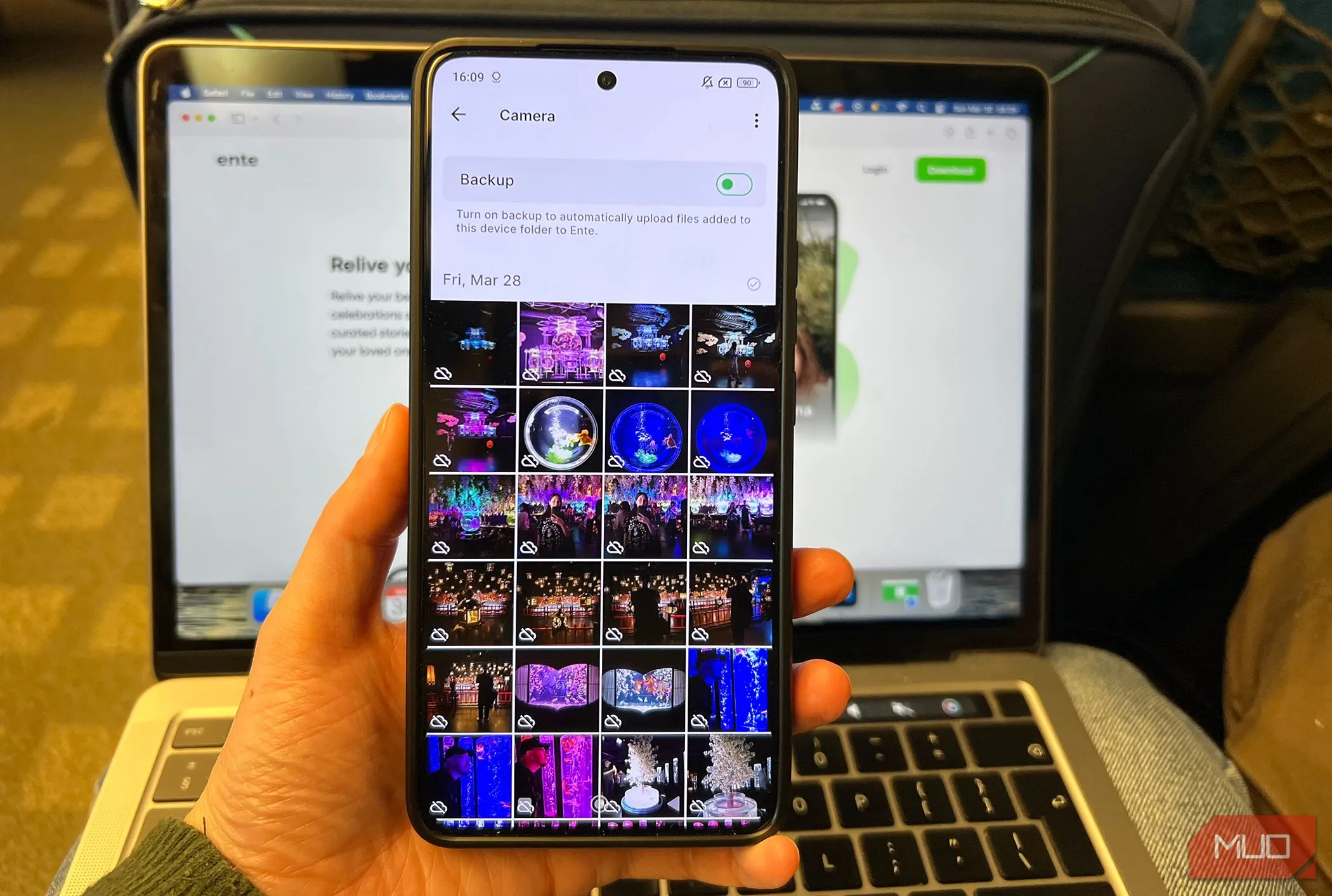 Thư viện ảnh trên Ente Photos với thông báo sẵn sàng sao lưu, thể hiện khả năng quản lý và bảo vệ ảnh cá nhân
