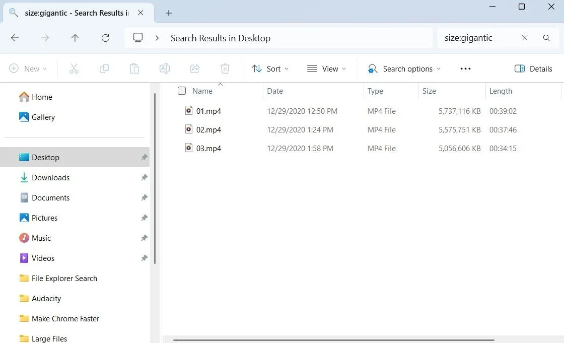 Windows File Explorer hiển thị các tệp tin lớn theo kích thước